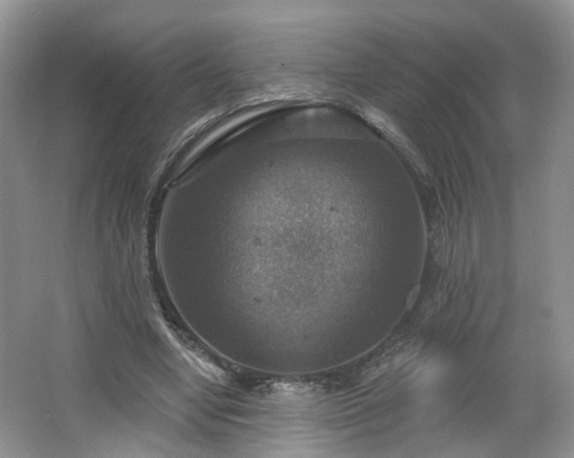 X0000065230442200602211149
