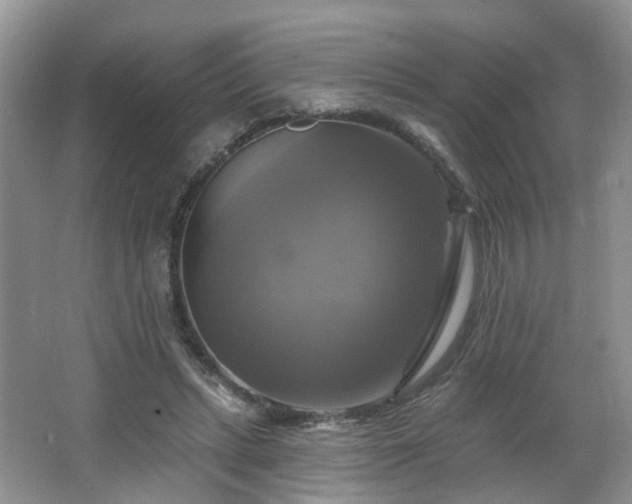 X0000065230447200602211149