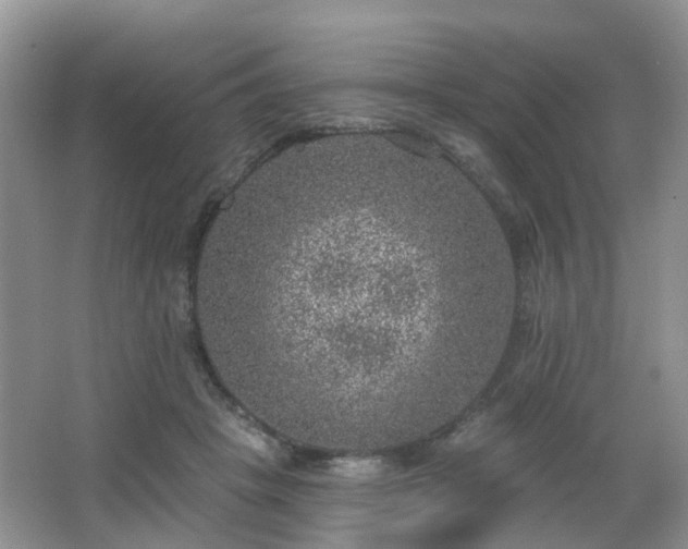 X0000065230457200602211150