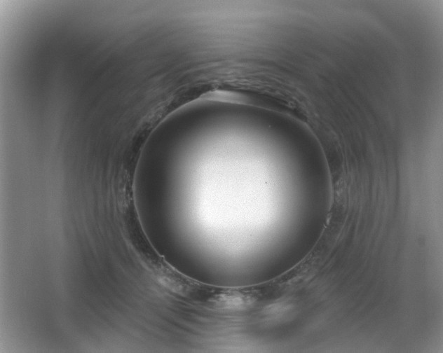 X0000065230464200602211150