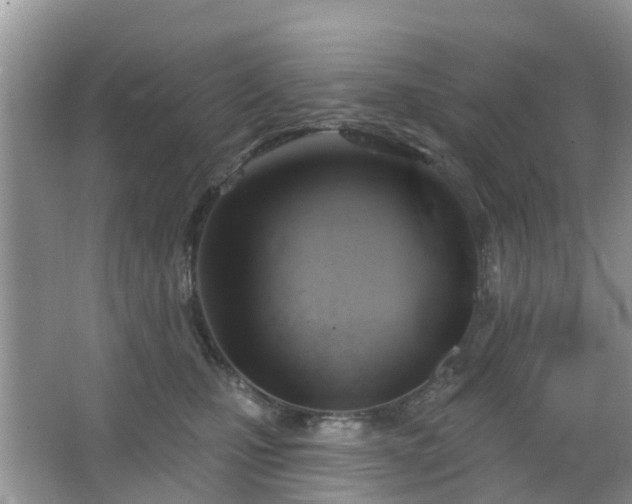 X0000065230471200602211150