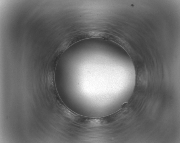 X0000065230473200602211150