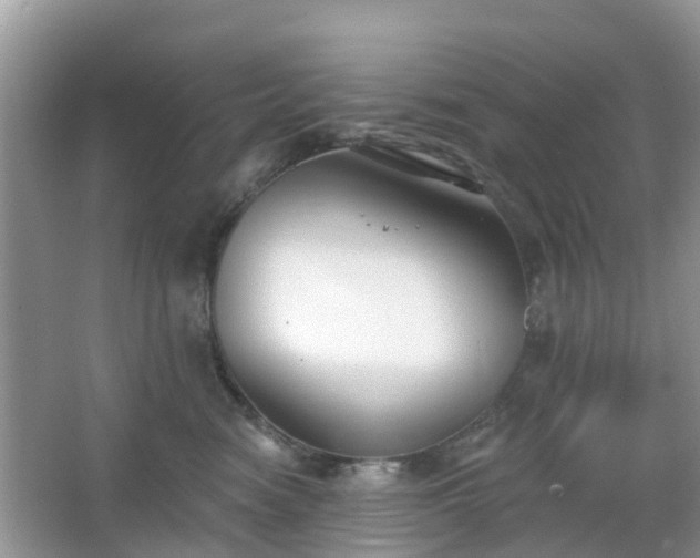 X0000065230474200602211150