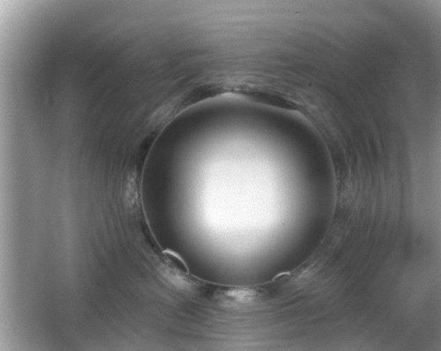 X0000065230478200602211150