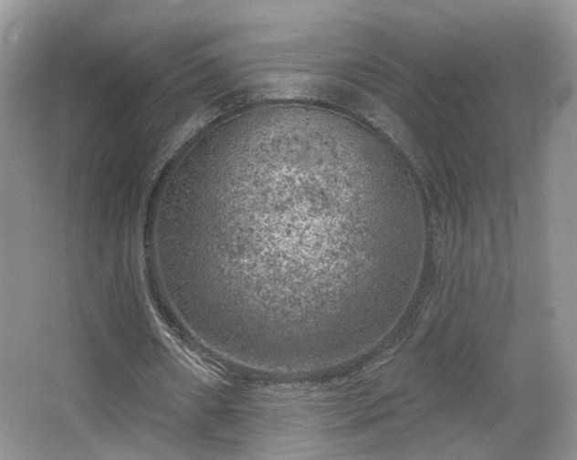 X0000065230482200602211149