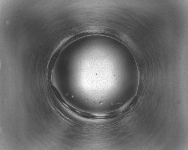 X0000065230484200602211149