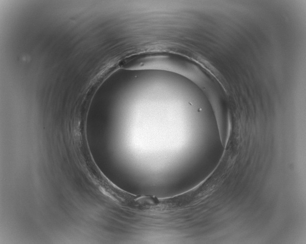X0000065230485200602211149