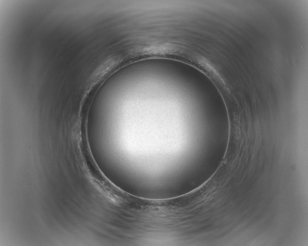 X0000065230486200602211149