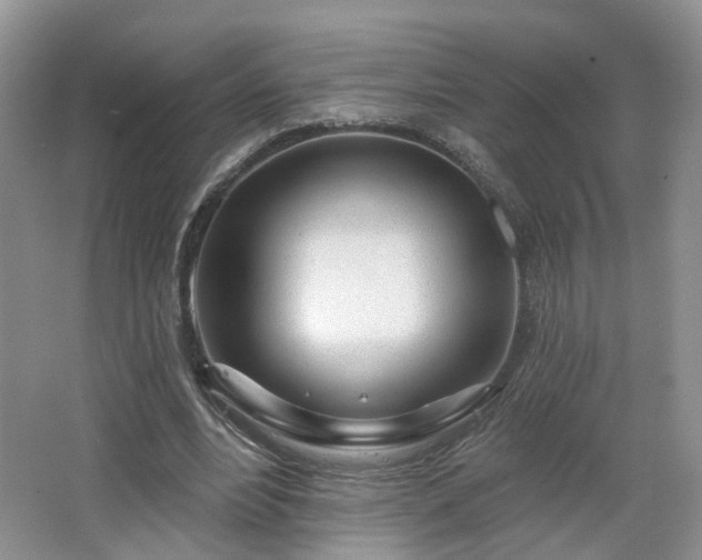 X0000065230488200602211149