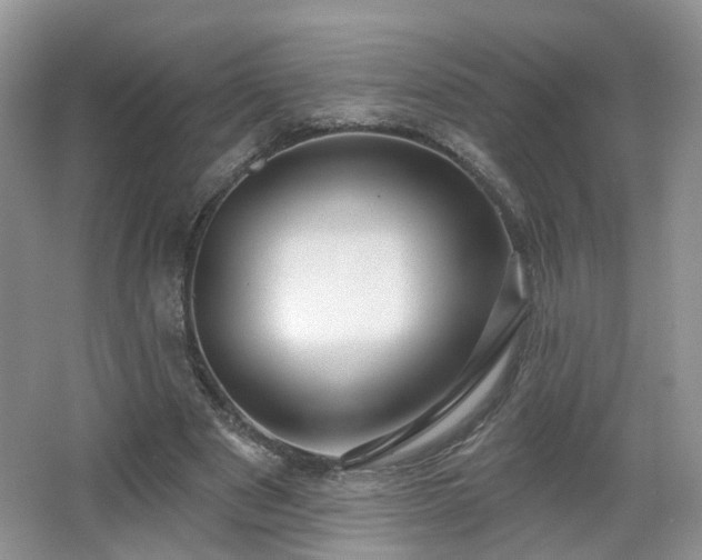 X0000065230489200602211149