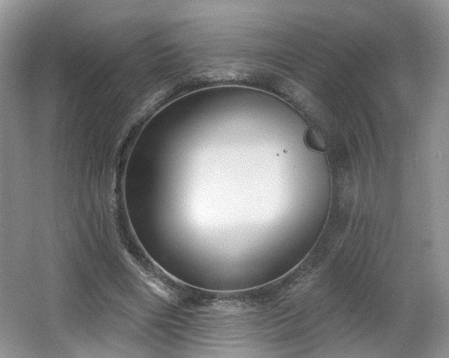 X0000065230490200602211149