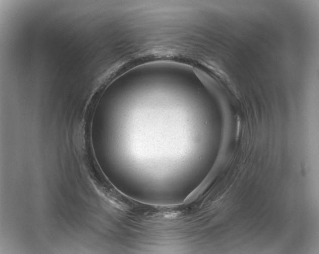 X0000065230492200602211149