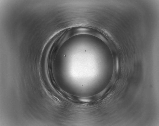 X0000065230532200602211148