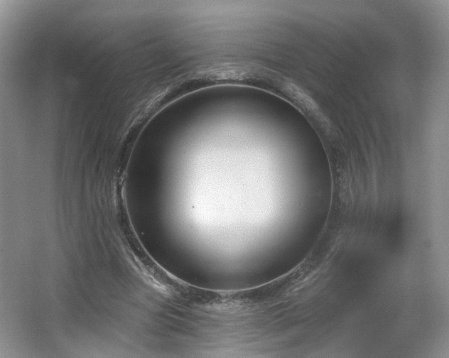 X0000065230537200602211148