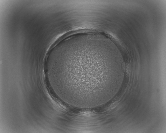 X0000065230540200602211148
