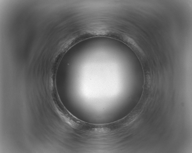 X0000065230541200602211148