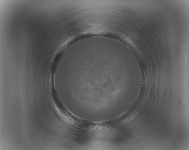 X0000065230542200602211148