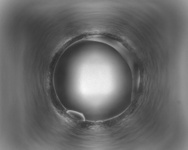 X0000065230544200602211148
