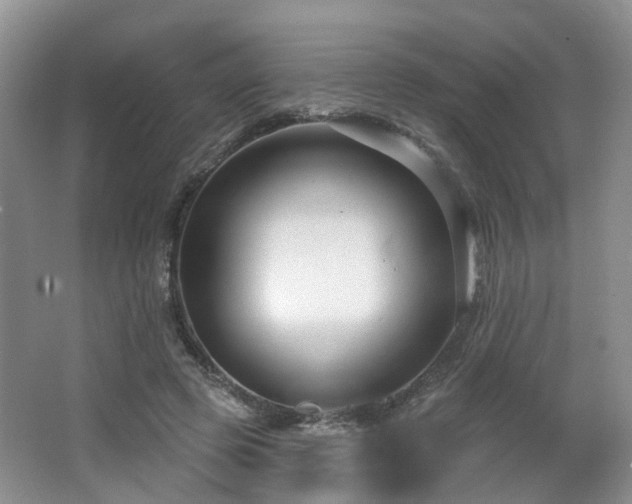 X0000065230545200602211148