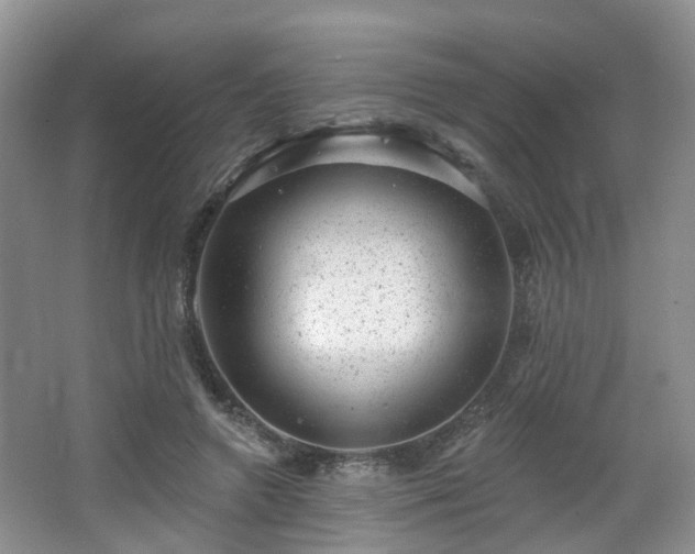 X0000065230546200602211148