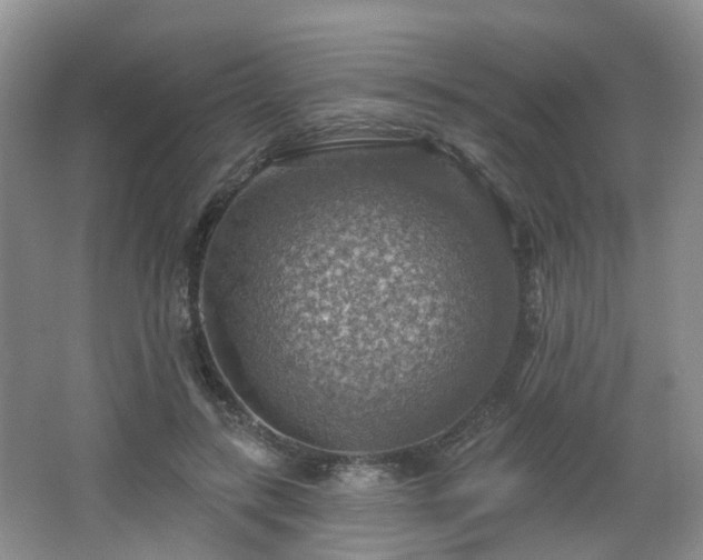 X0000065230547200602211148