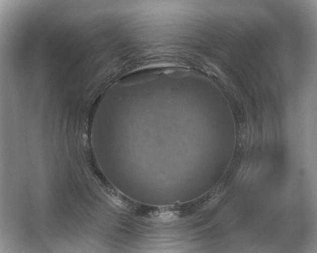 X0000065230553200602211148