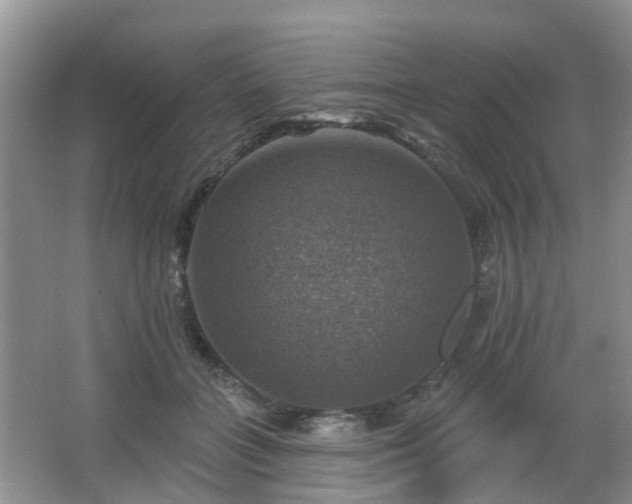 X0000065230555200602211148