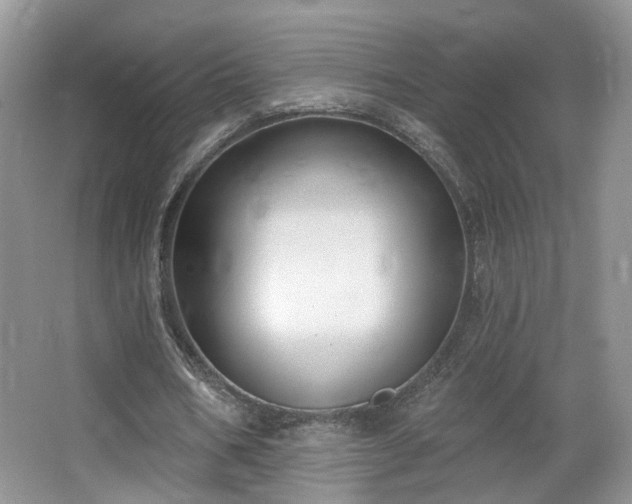 X0000065230578200602211147