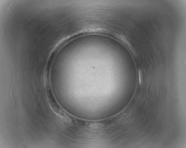 X0000065230579200602211147