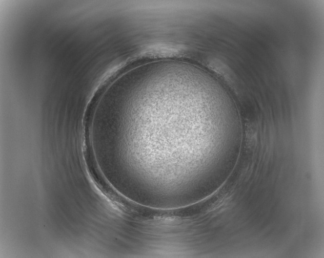 X0000065230582200602211147