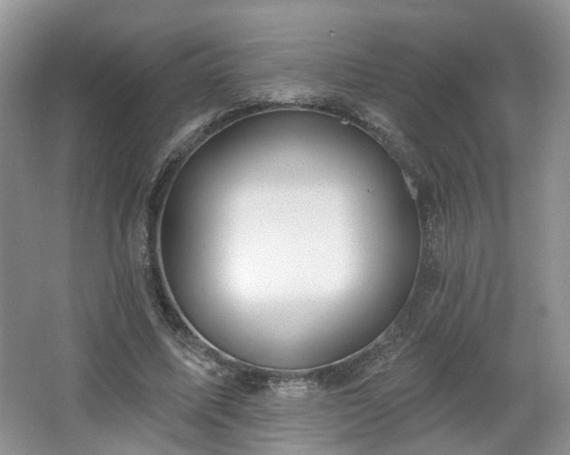 X0000065230587200602211147