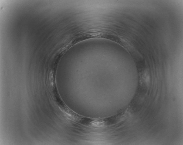 X0000065230606200602211147