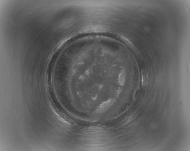 X0000065230627200602211146