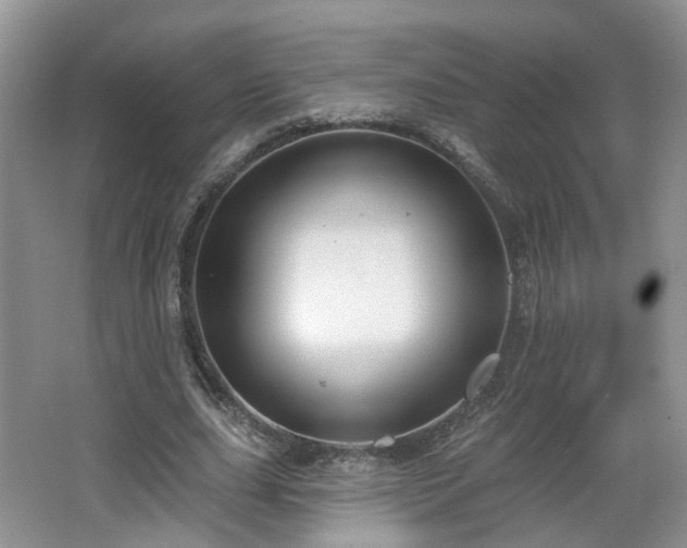 X0000065230631200602211146