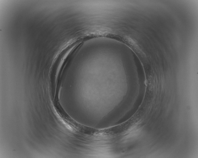 X0000065230634200602211146