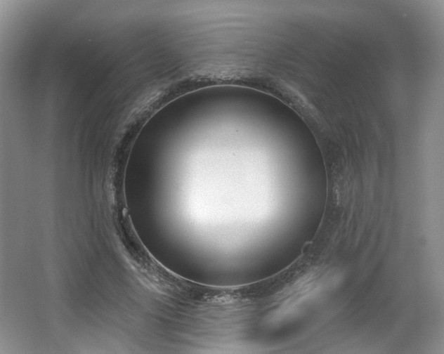 X0000065230635200602211146