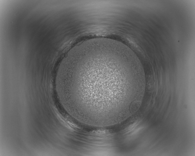 X0000065230639200602211146