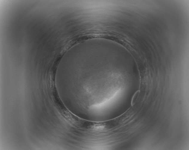 X0000065230651200602211146