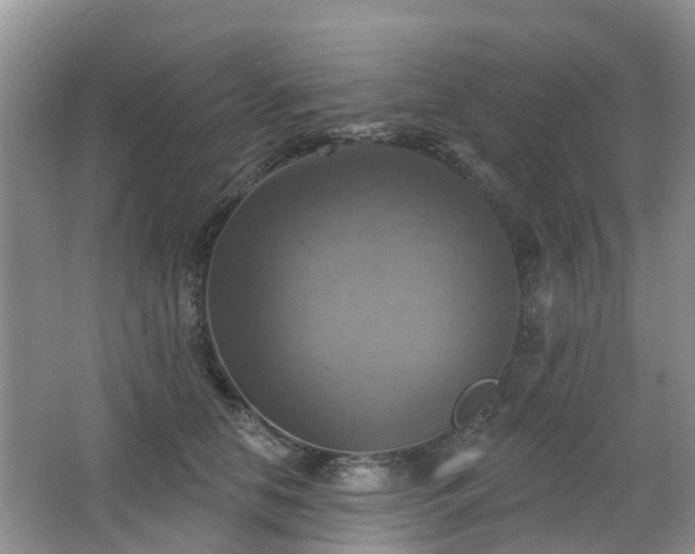 X0000065230658200602211146