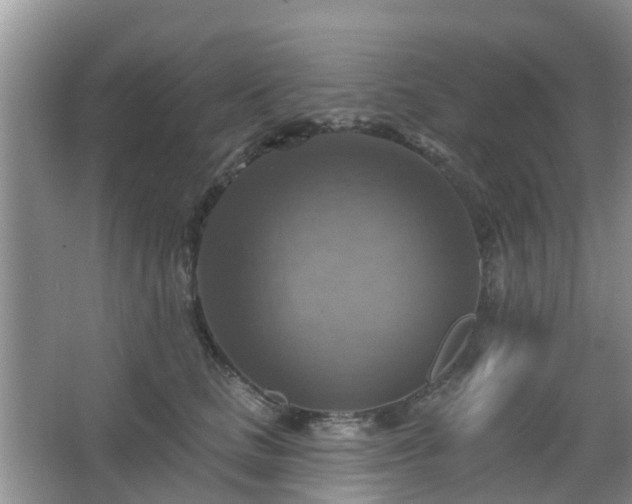 X0000065230661200602211146