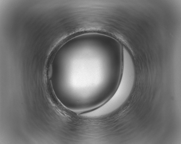 X0000065230676200602211146