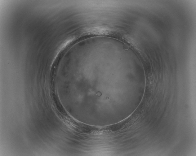 X0000065230679200602211146
