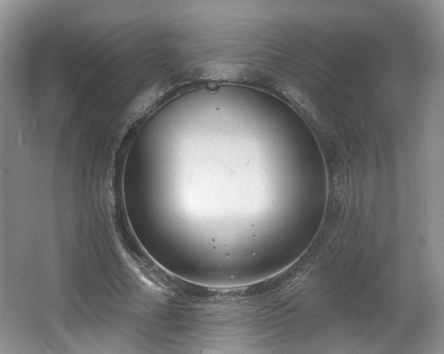 X0000065230682200602211146