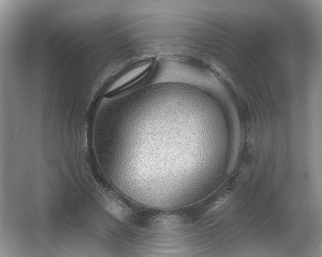 X0000065230685200602211146