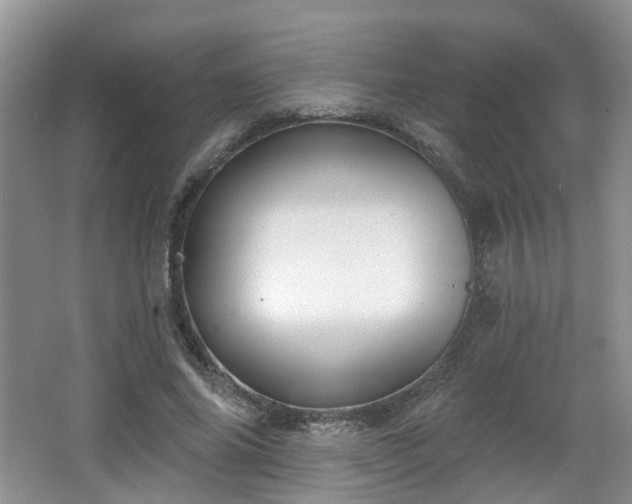 X0000065230686200602211146