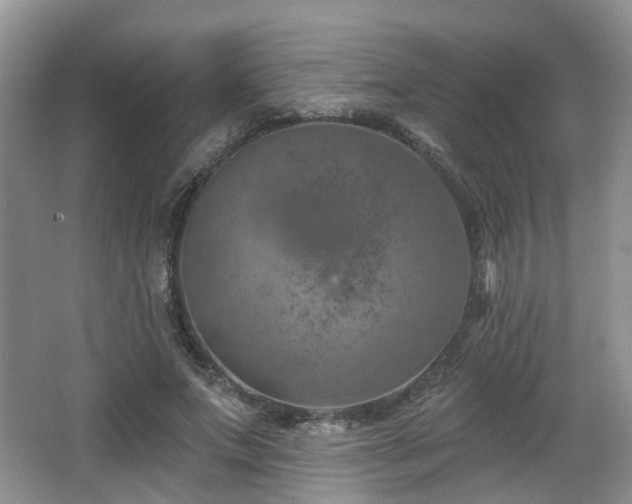 X0000065230687200602211146