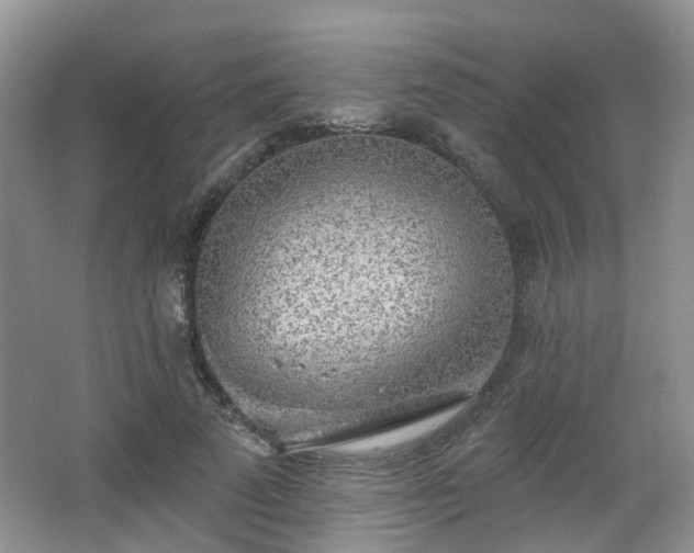X0000065230689200602211145