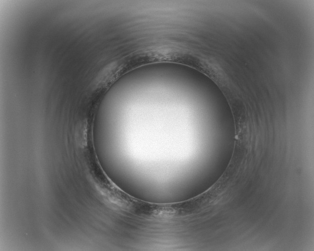X0000065230694200602211145