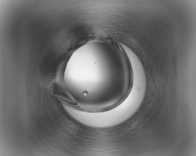 X0000065230697200602211145