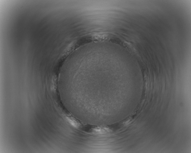 X0000065230712200602211145